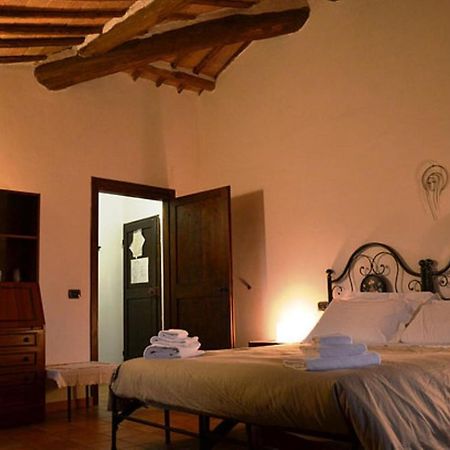 Podere Ficareto Farm Ancaiano Εξωτερικό φωτογραφία