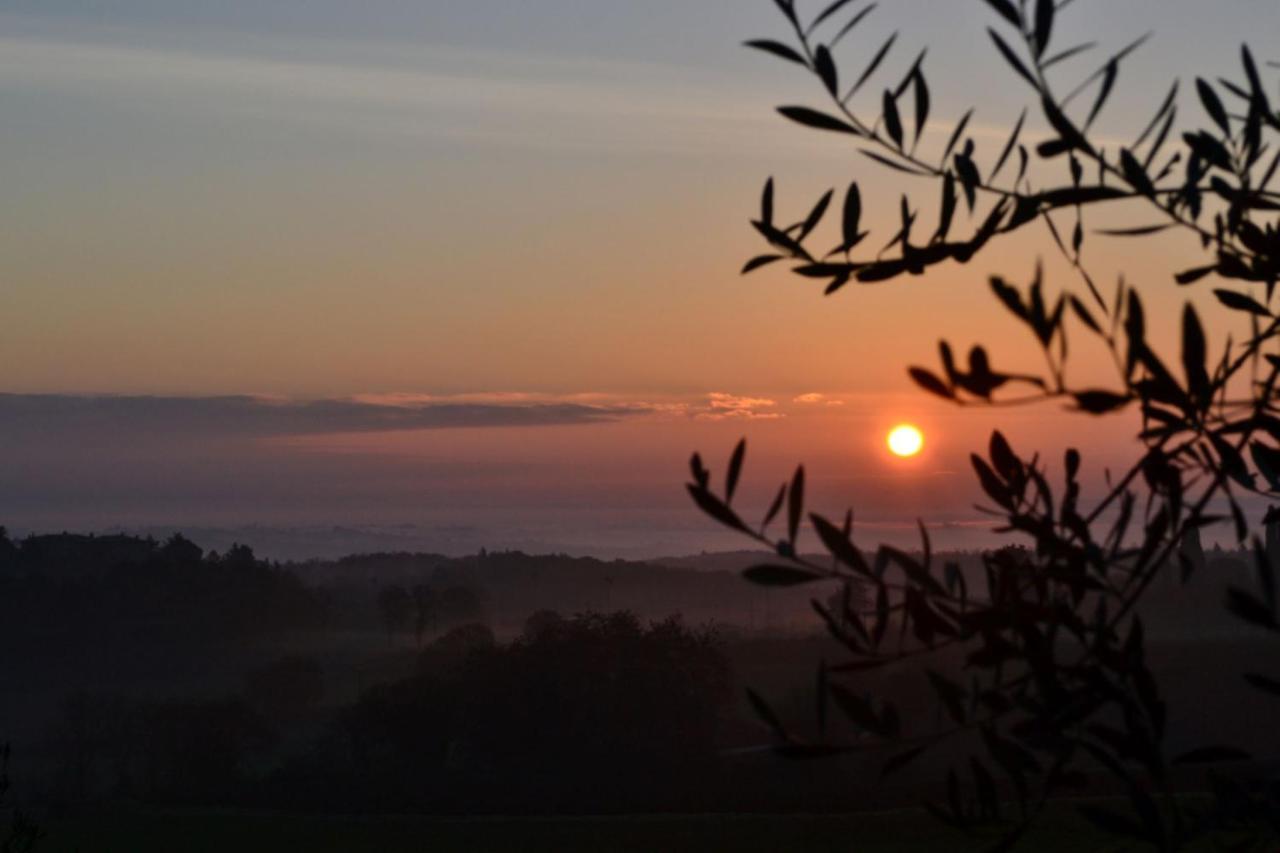 Podere Ficareto Farm Ancaiano Εξωτερικό φωτογραφία